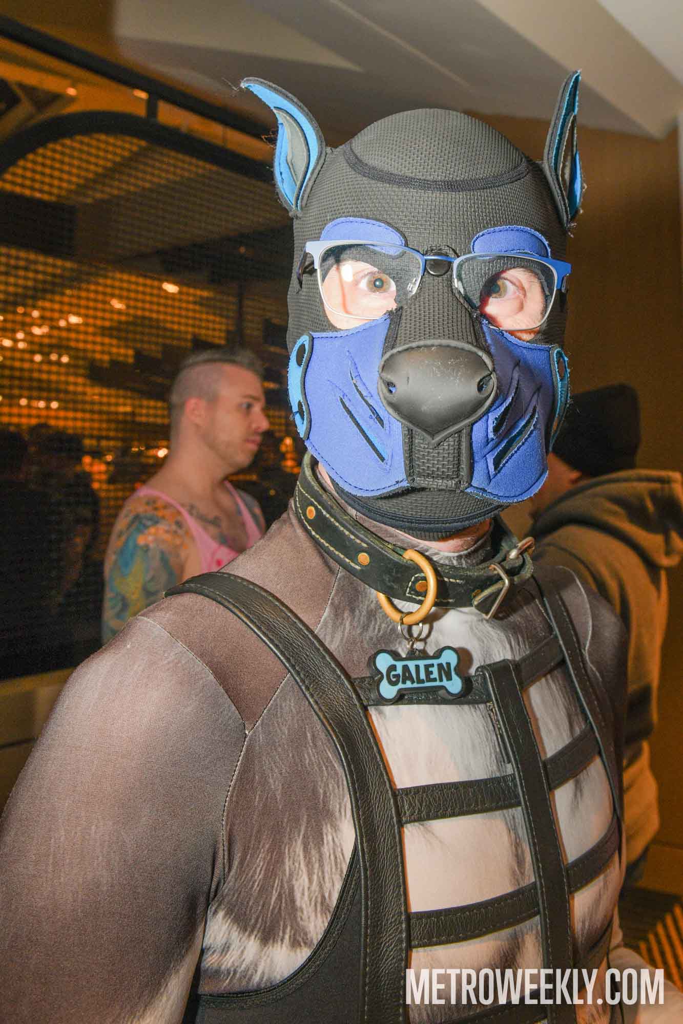 #115 of 168 : 2026-01-23_3027_179331.jpg