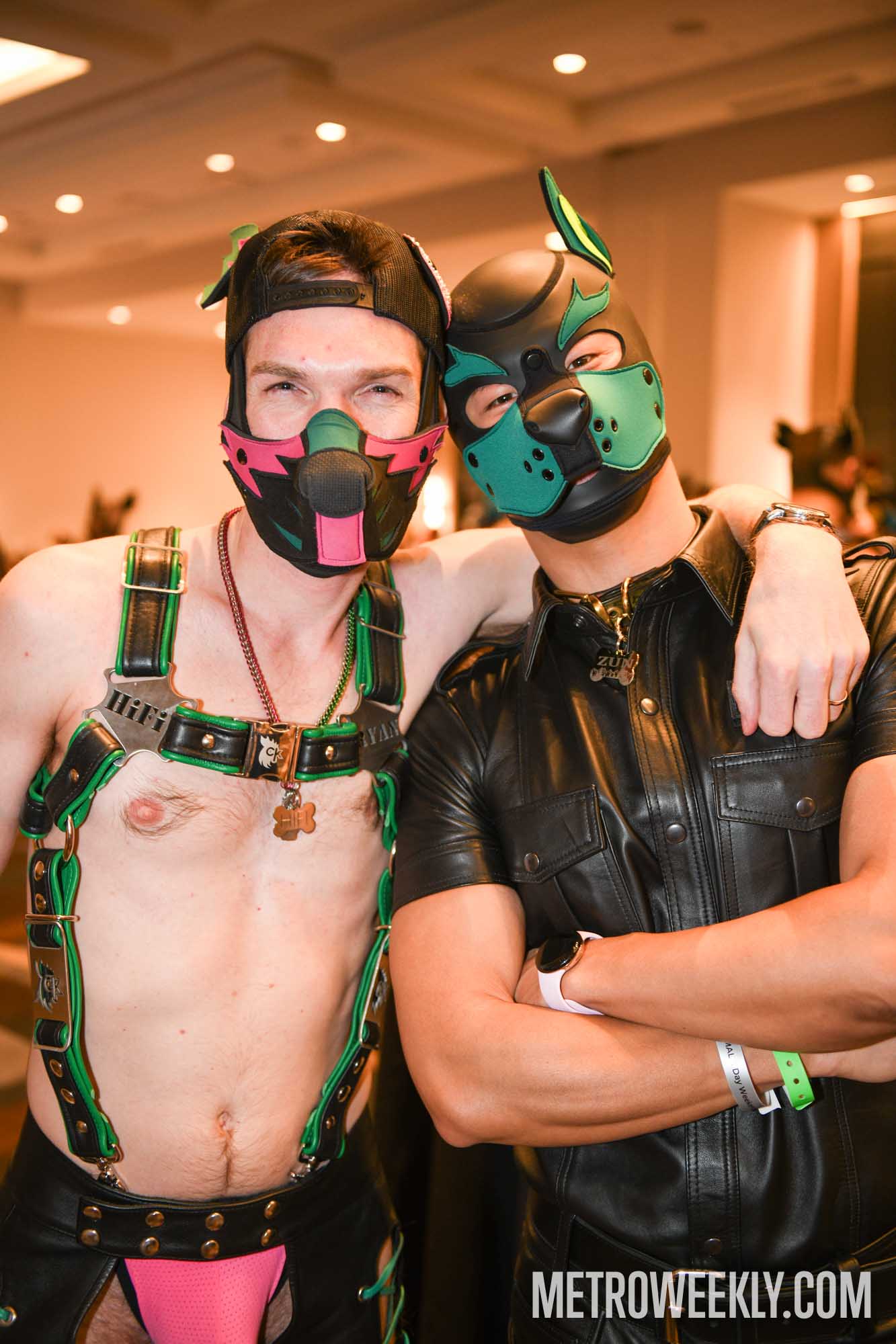 #162 of 168 : 2026-01-23_3027_179378.jpg