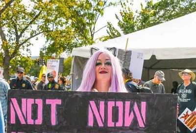 No Kings March, Washington D.C.